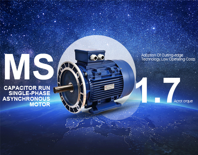 Quality 220V AC gear motor suppliers from China