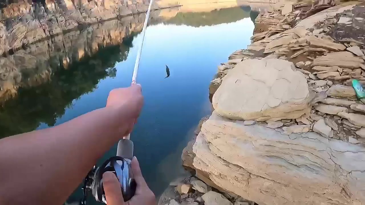 video.mp4