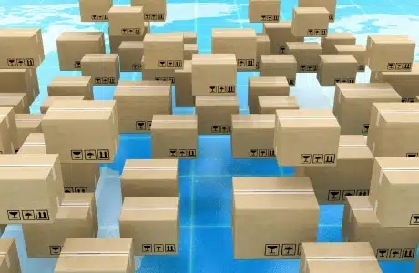 Picture Name