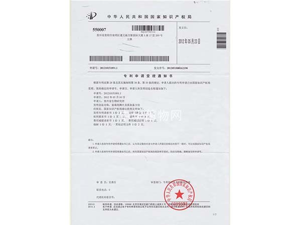 蓝莓泡腾片及其制备方法