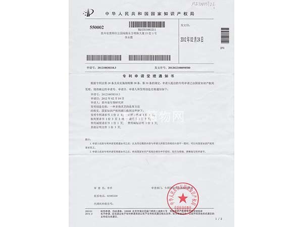 一种多孢灵芝的选育方法