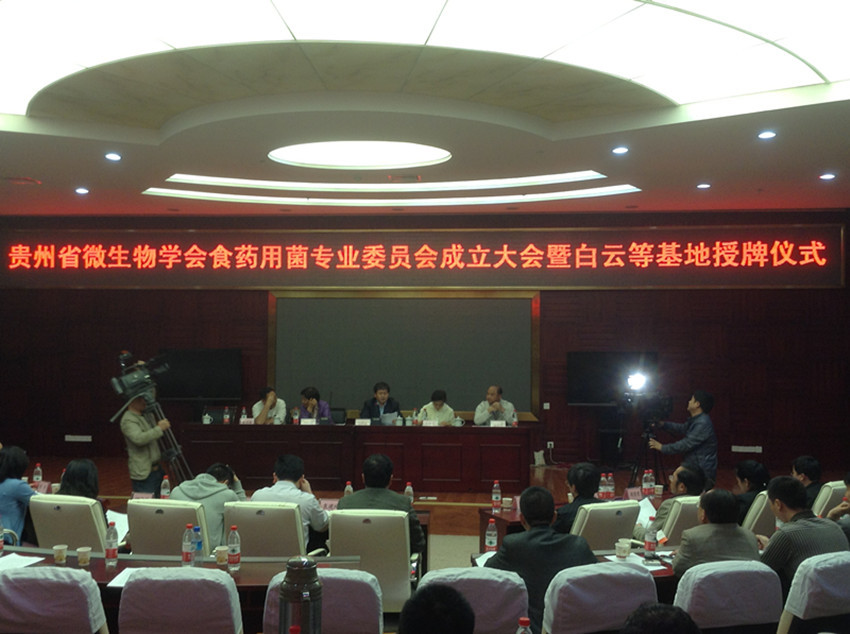 大会现场