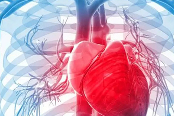 Medical blood vessels