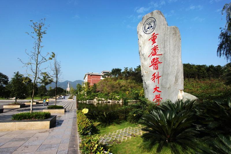 重慶醫(yī)科大學標準化食堂