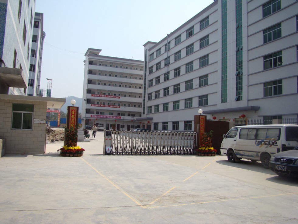 2006