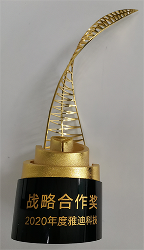 2020年战略合作奖 2020年战略合作奖