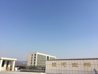 銀河生物