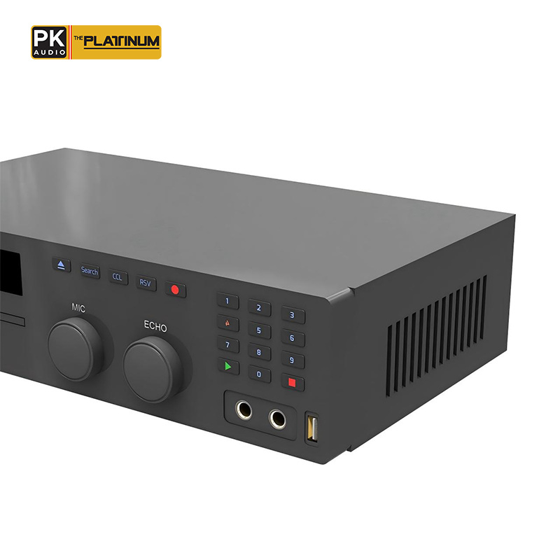 The Platinum Reyna 3C DVD Karaoke Player