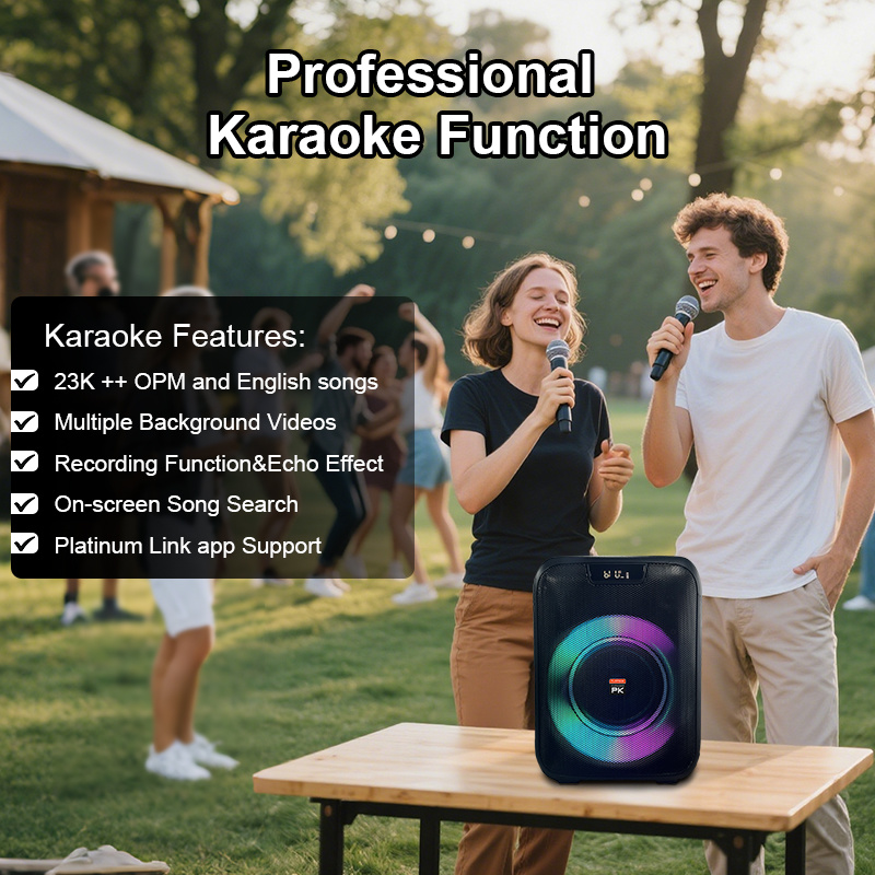 THE PLATINUM CX-15 PARTY JUKEBOX