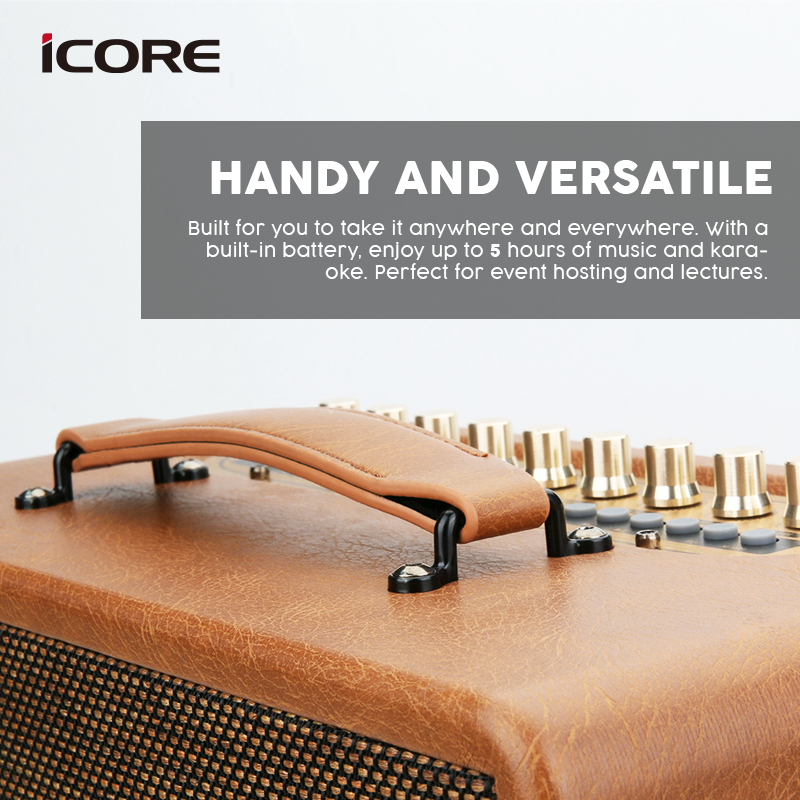 iCORE P8 MULTIFUNCTION WIRELESS SPEAKER