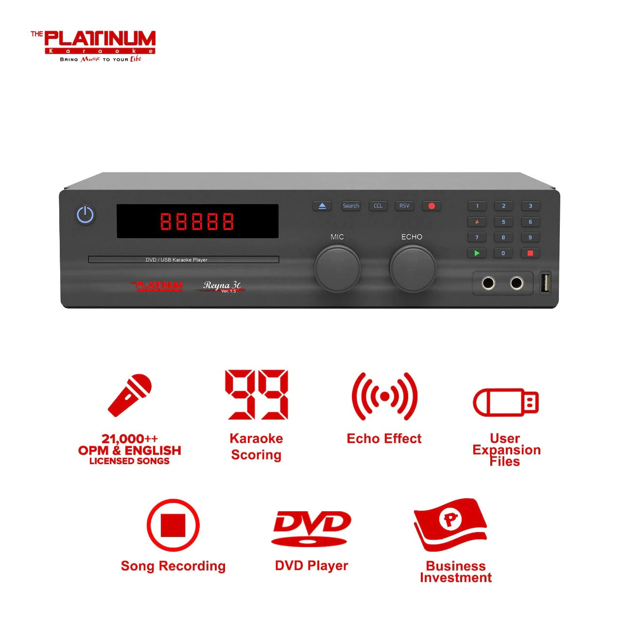 The Platinum Reyna 3C DVD Karaoke Player
