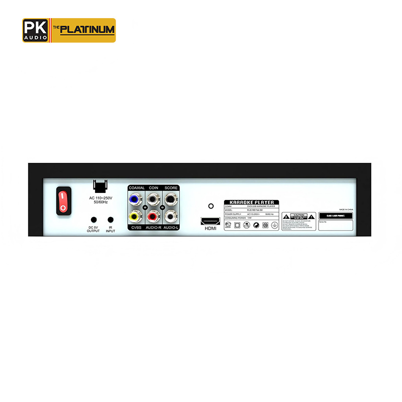 The Platinum Reyna SE DVD Karaoke Player
