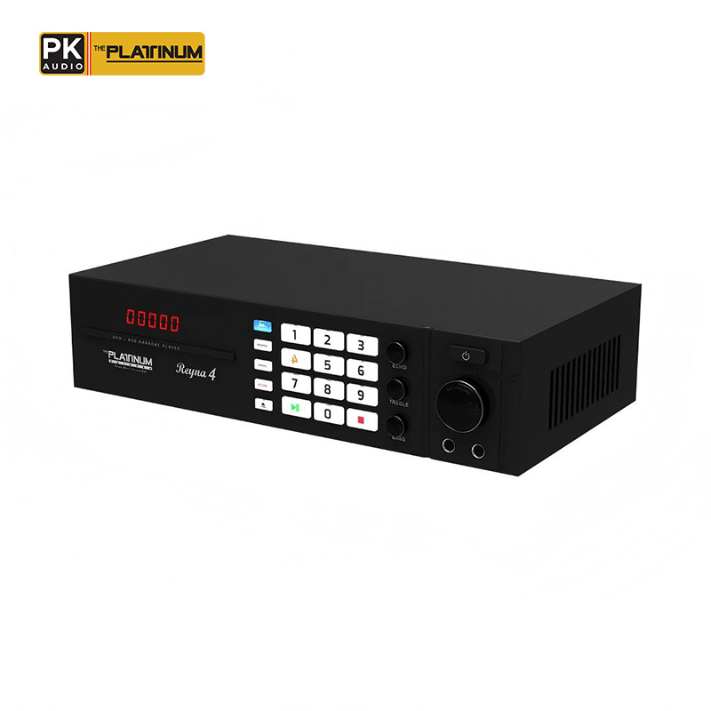 The Platinum Reyna 4 DVD Karaoke Player