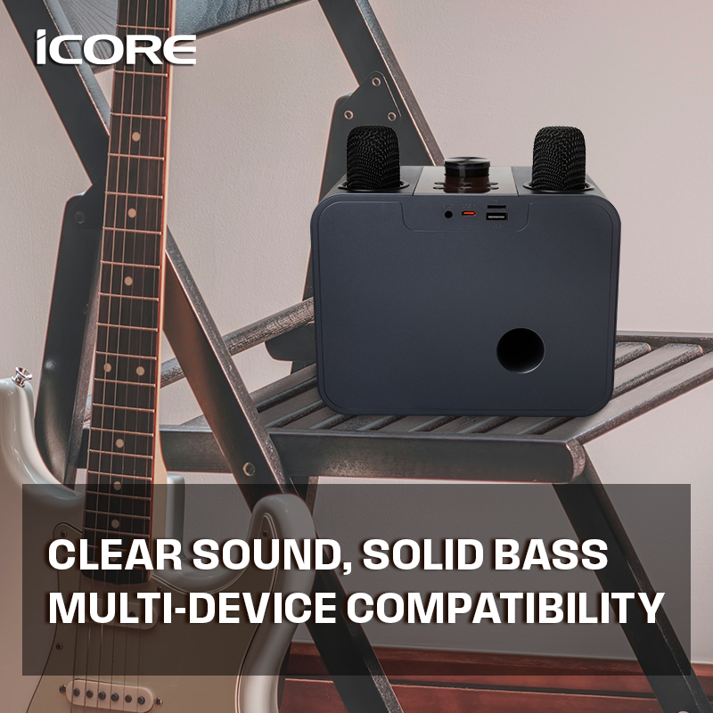 iCORE ISM09 WIRED KARAOKE SPEAKER SET