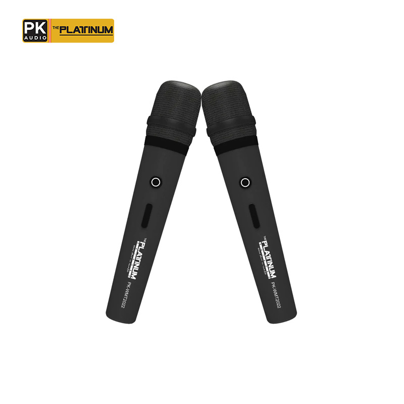 Platinum Karaoke DK88