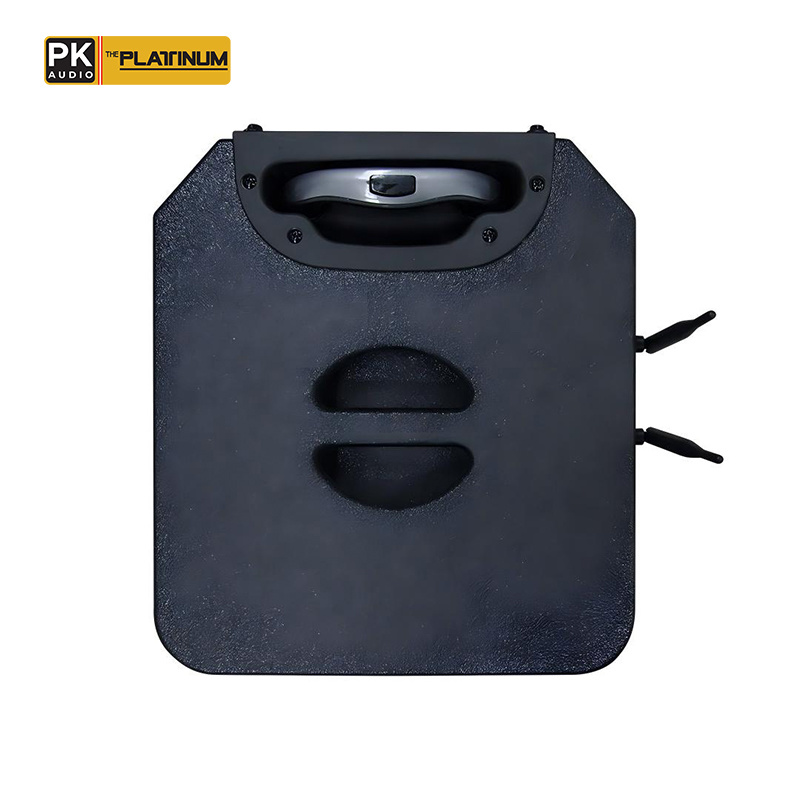 THE PLATINUM PK10