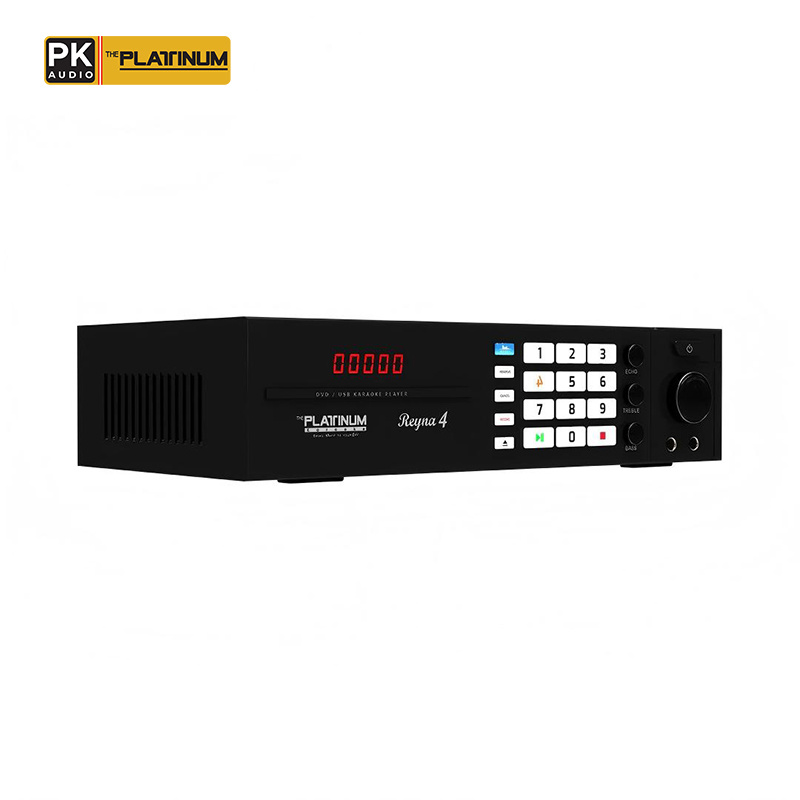 The Platinum Reyna 4 DVD Karaoke Player