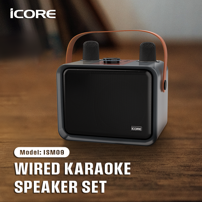 iCORE ISM09 WIRED KARAOKE SPEAKER SET