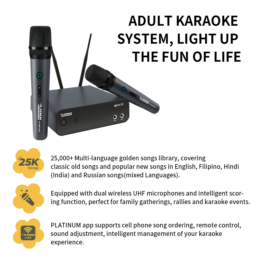 The Platinum Alpha SE Karaoke Machine