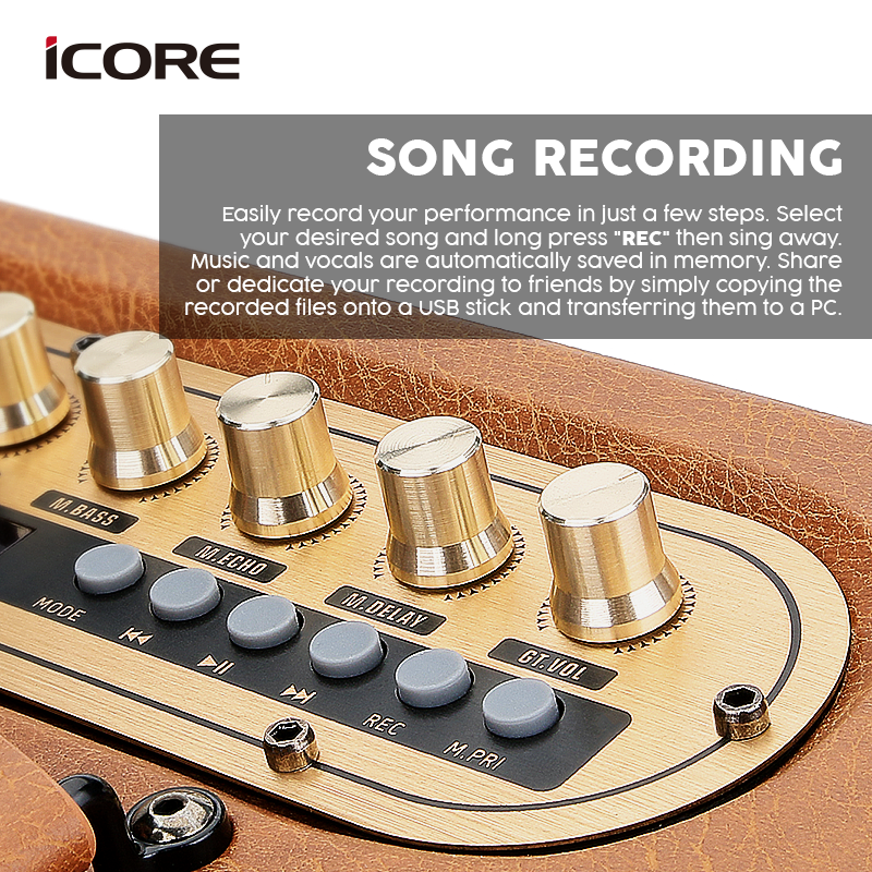iCORE P8 MULTIFUNCTION WIRELESS SPEAKER