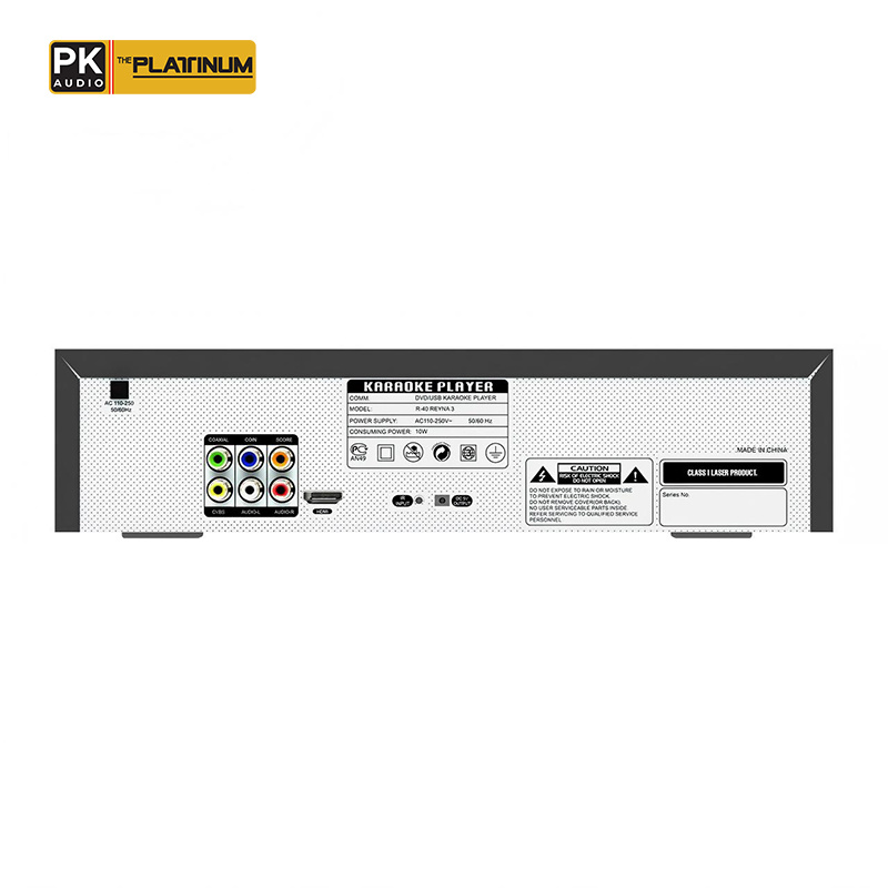The Platinum Reyna 3C DVD Karaoke Player