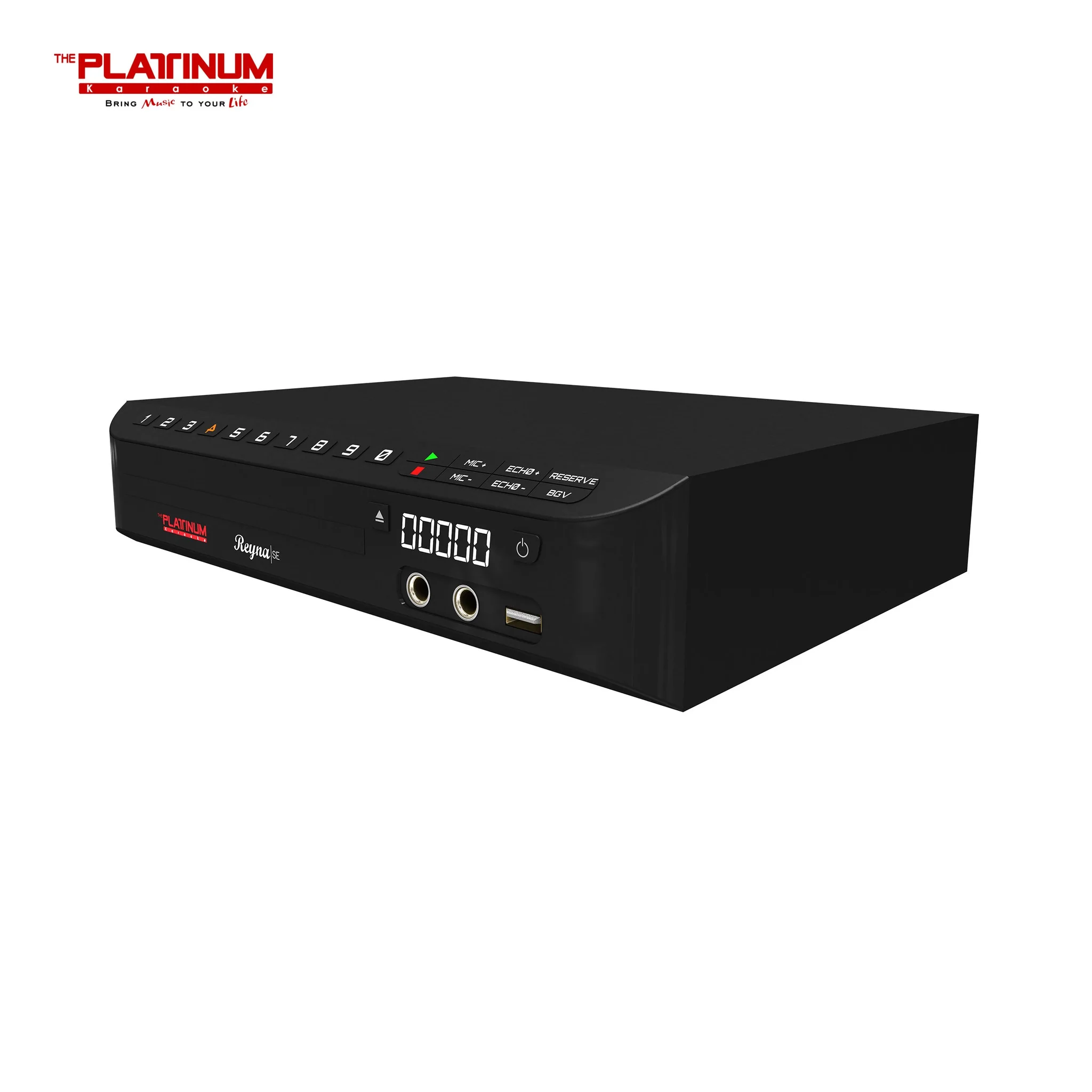 The Platinum Reyna SE DVD Karaoke Player