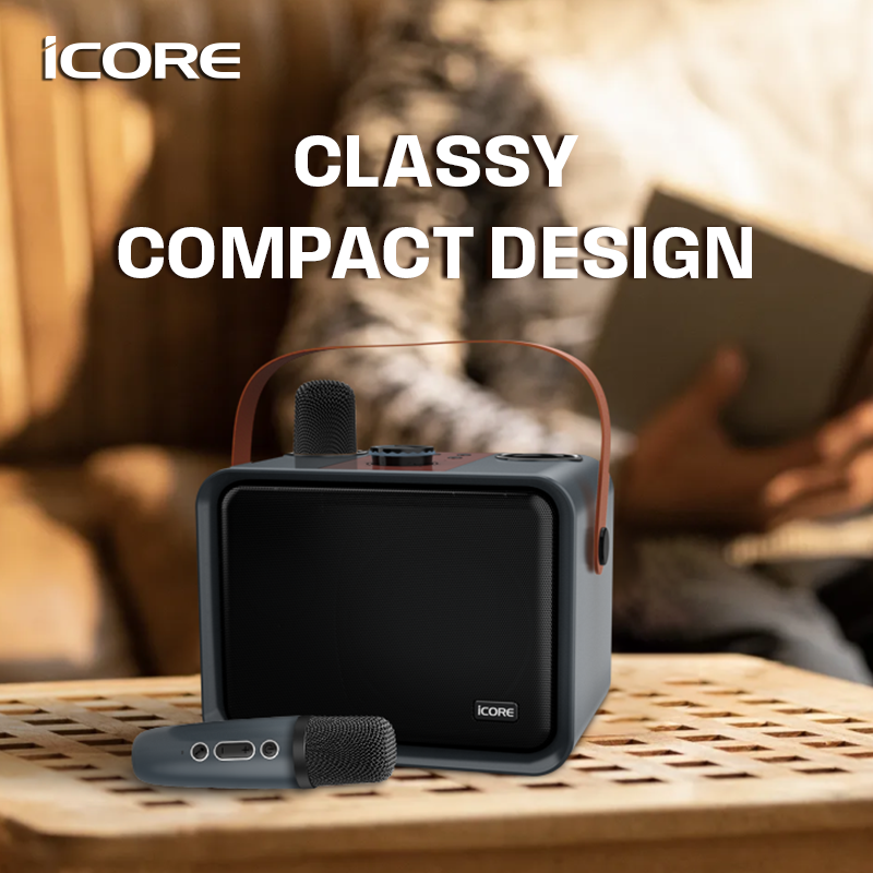 iCORE ISM09 WIRED KARAOKE SPEAKER SET