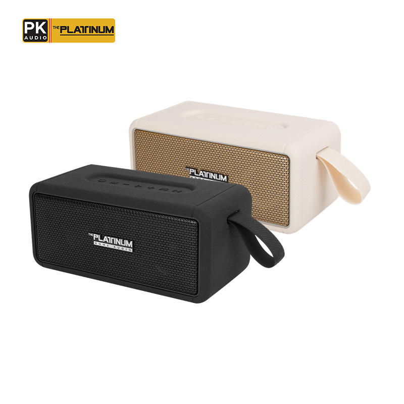 The Platinum Apollo Portable Bluetooth