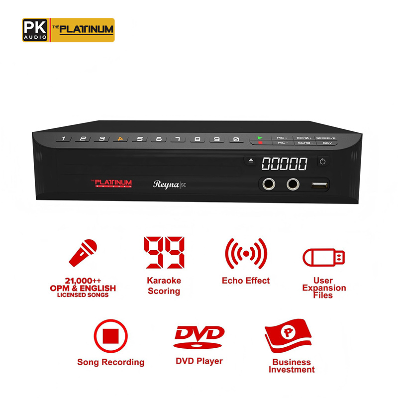 The Platinum Reyna SE DVD Karaoke Player
