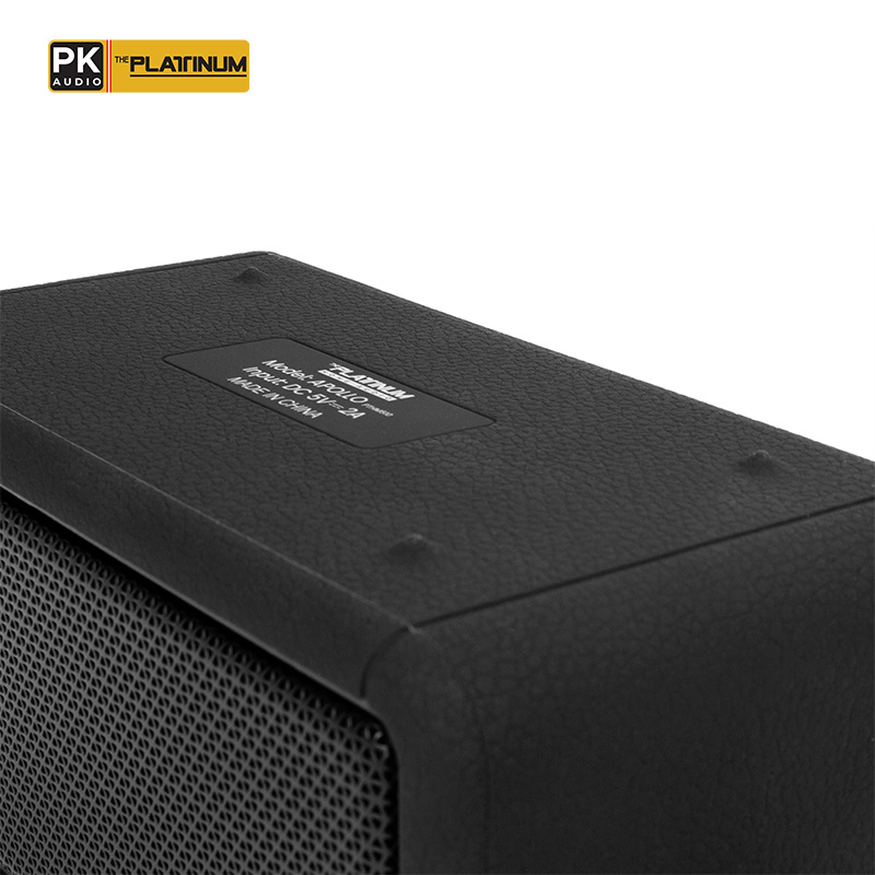 The Platinum Apollo Portable Bluetooth