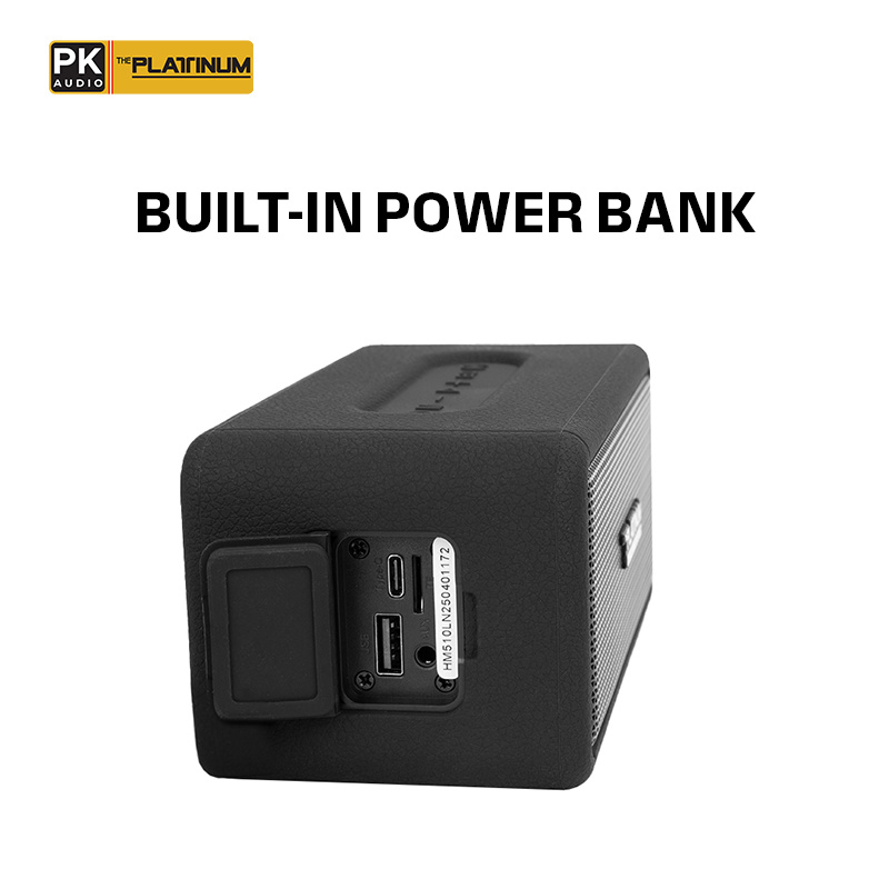 The Platinum Apollo Portable Bluetooth
