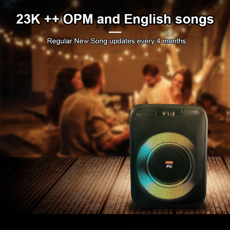 THE PLATINUM CX-15 PARTY JUKEBOX