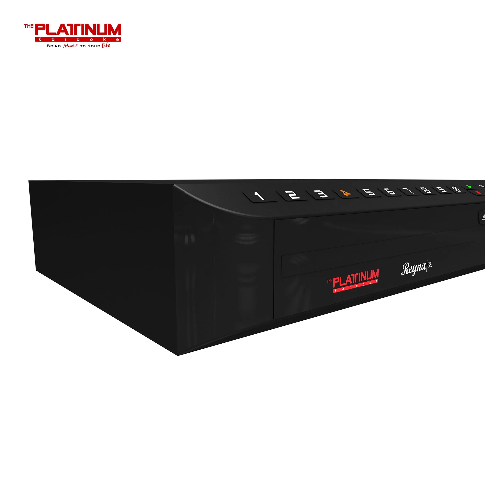 The Platinum Reyna SE DVD Karaoke Player