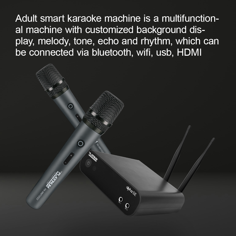The Platinum Alpha SE Karaoke Machine