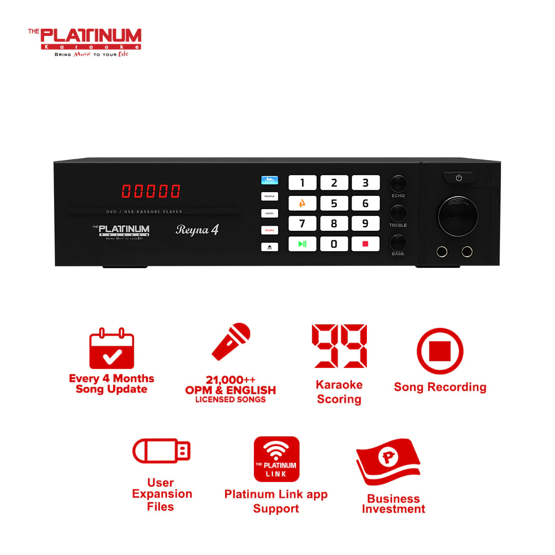 The Platinum Reyna 4 DVD Karaoke Player