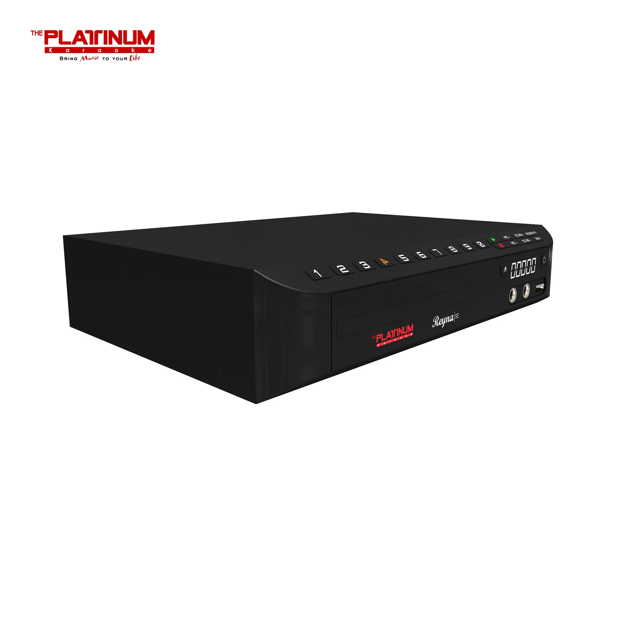 The Platinum Reyna SE DVD Karaoke Player