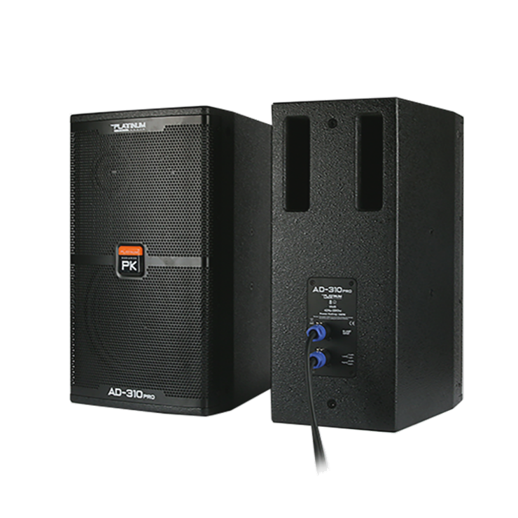 The Platinum AD-310 Pro 3-Way Speaker