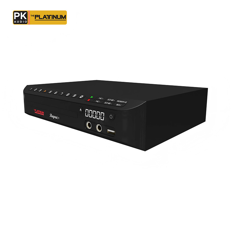 The Platinum Reyna SE DVD Karaoke Player