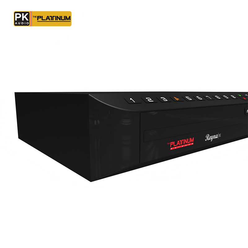 The Platinum Reyna SE DVD Karaoke Player