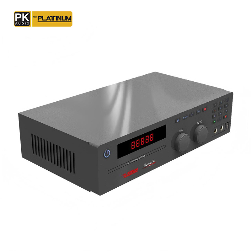The Platinum Reyna 3C DVD Karaoke Player