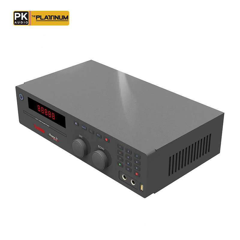 The Platinum Reyna 3C DVD Karaoke Player