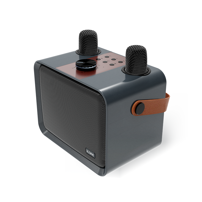 iCORE ISM09 WIRED KARAOKE SPEAKER SET