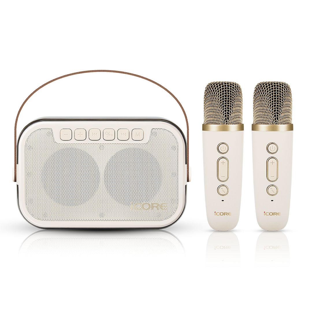 iCORE ISM69 ALL IN ONE KARAOKE MACHINE