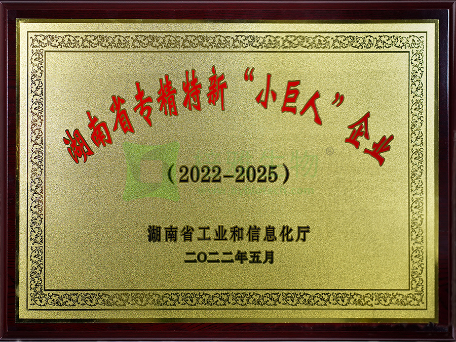 湖南省專精特新“小巨人”企業(yè) 湖南省專精特新“小巨人”企業(yè)