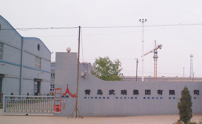 Qingdao Wuxiao Group Co., Ltd.