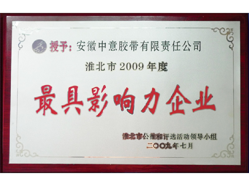 淮北市2009年度最具影响力企业