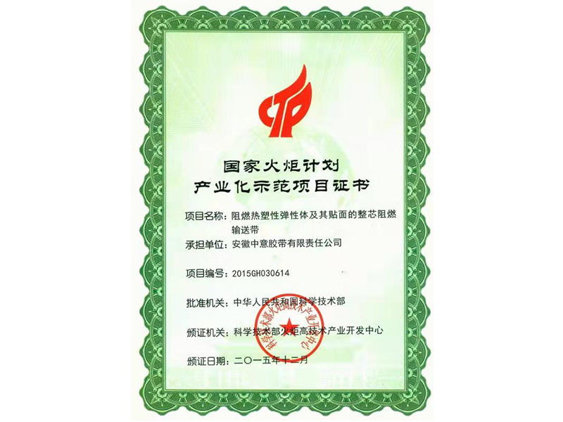 国家火炬计划产业化示范项目证书