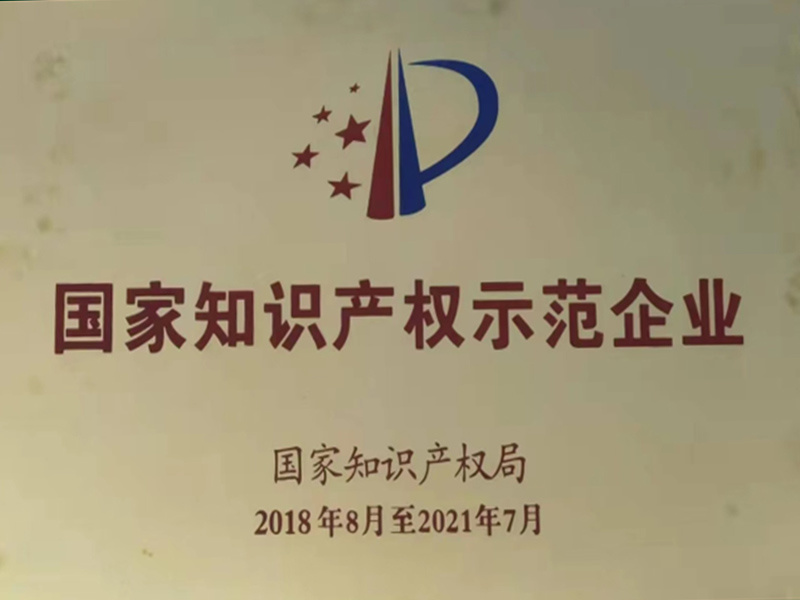 国家知识产权示范企业