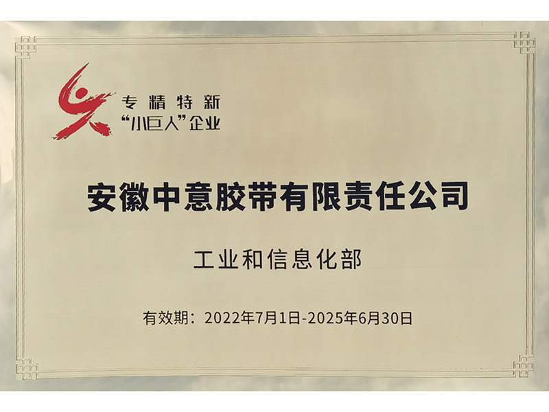 专精特新小巨人企业