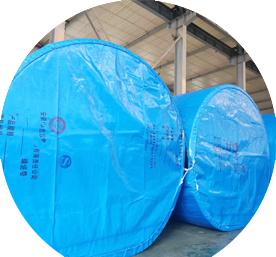 Steel cord conveyor belt